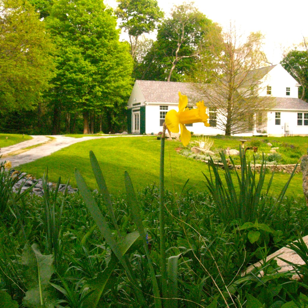 Photo Gallery Hope Floats