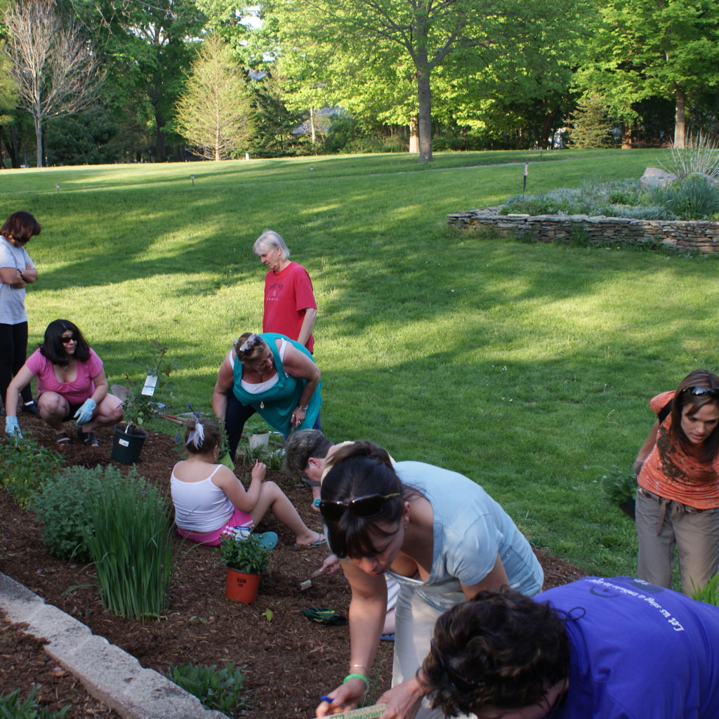 Photo Gallery Hope Floats